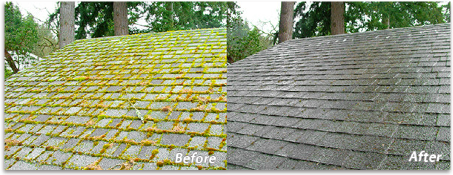 Cleaning Moss & Algae Off Your Roof in Platte County1