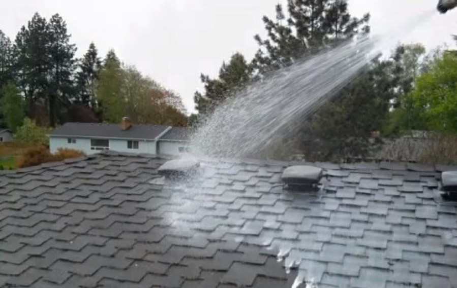 Cleaning Moss & Algae Off Your Roof in Platte County1