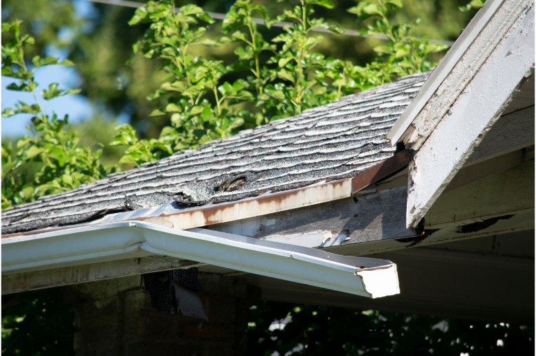 The Lowdown on Homeowners Insurance: Does It Cover the Roof?